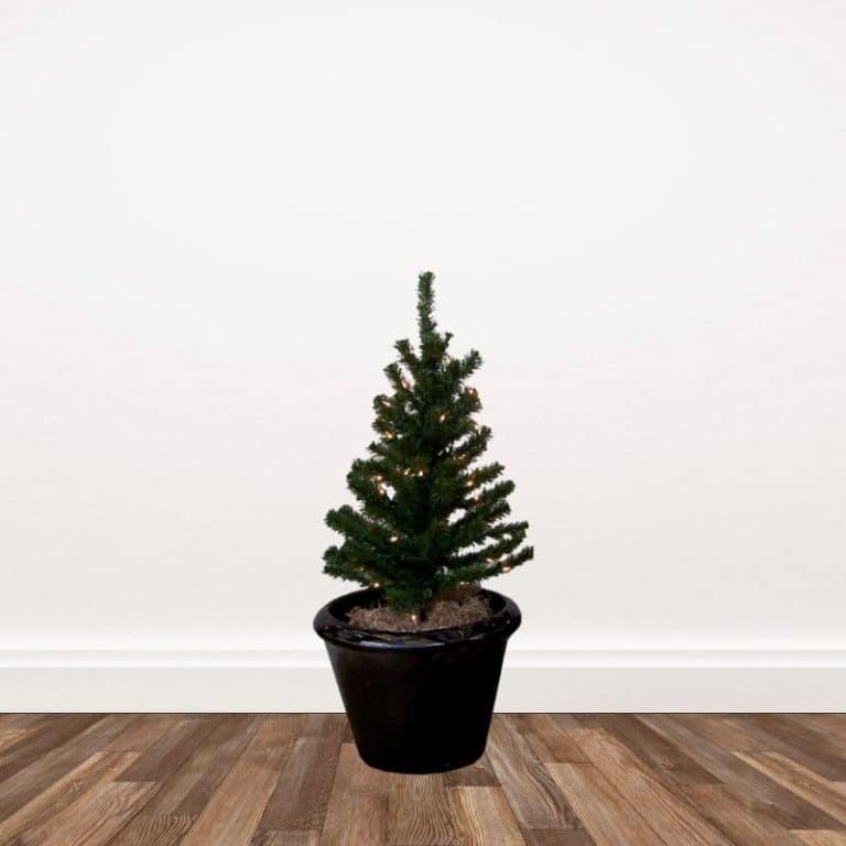 Get Aspen Fir Walkway Stake Prelit Artificial Christmas Trees, 2 or 3