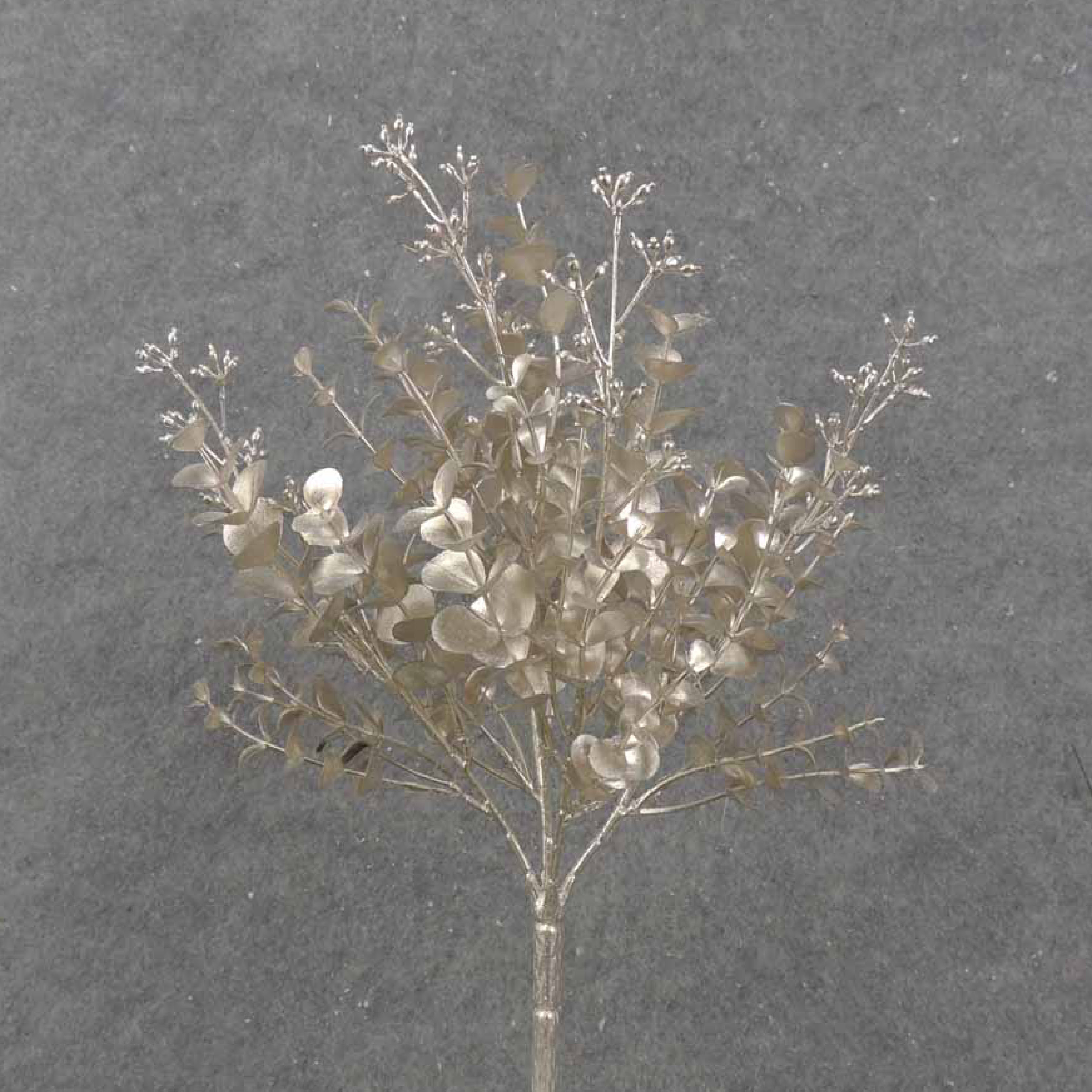 Get Metallic Eucalyptus Bush in MI at English Gardens Nurseries