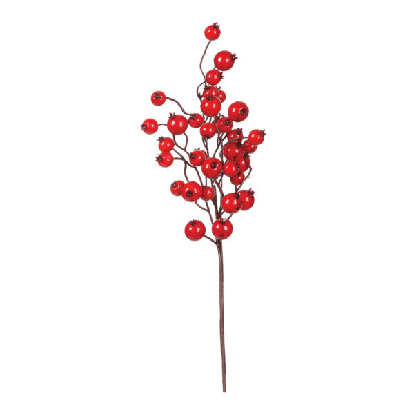 Red Cranberry Branch