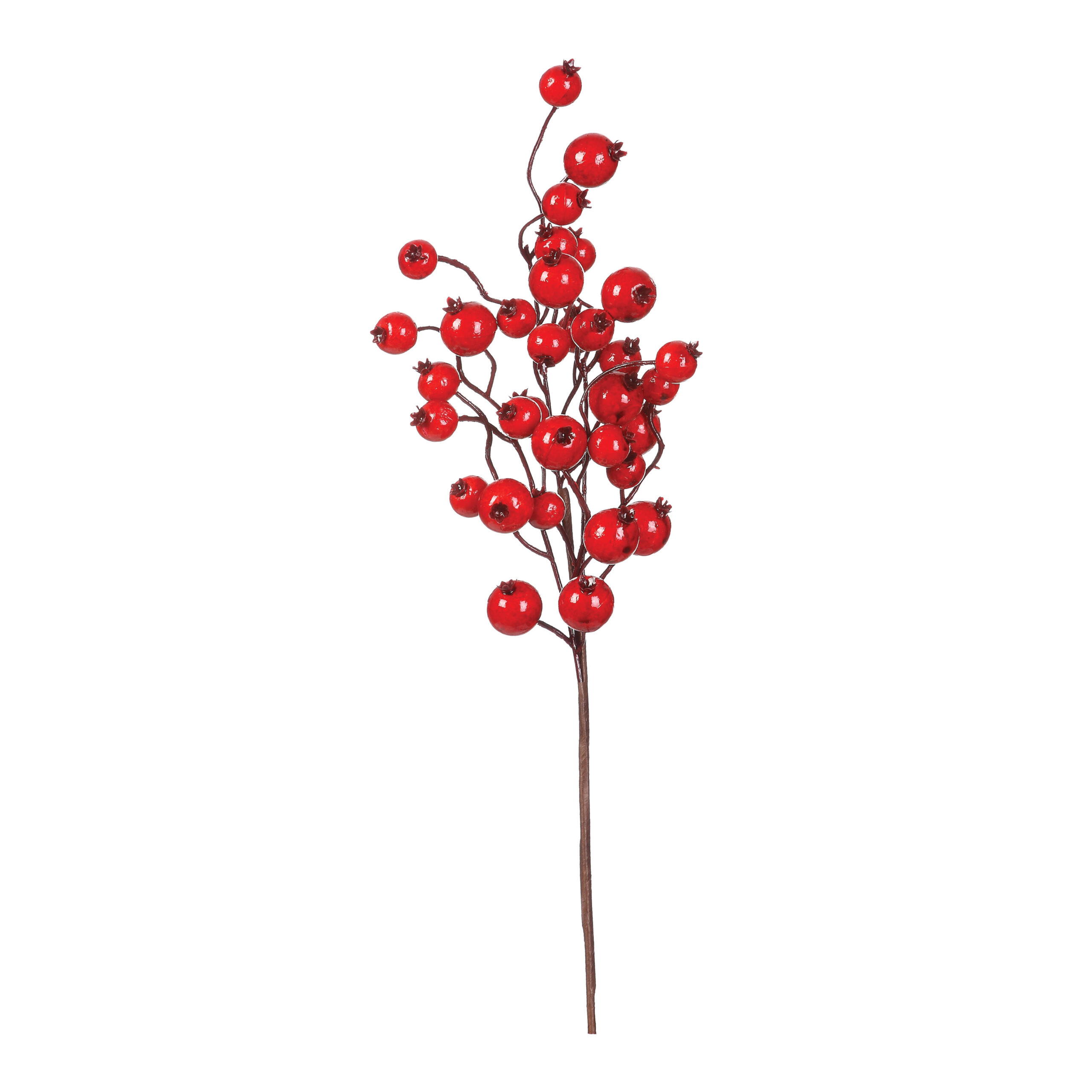 Get Red Cranberry Branch in MI at English Gardens Nurseries | Serving ...