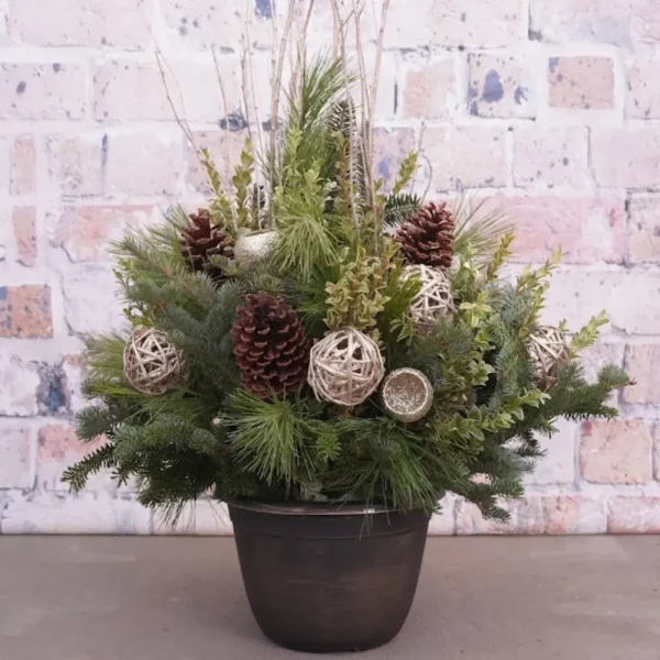 Simply Champagne Container Garden