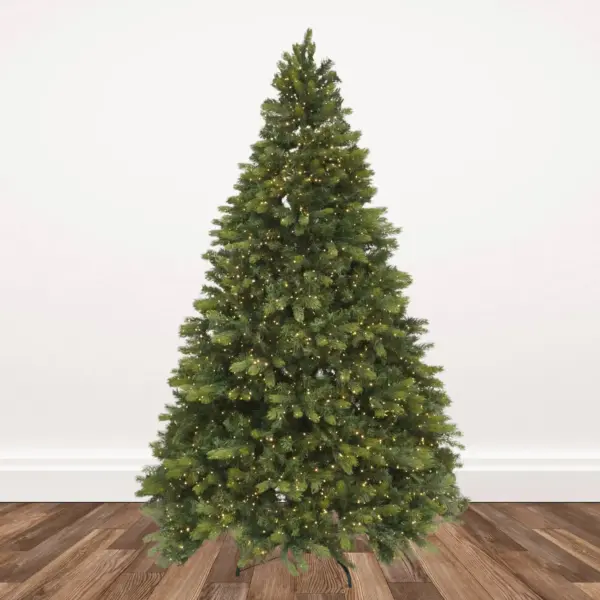 7.5-foot Stony Creek Douglas Fir Pre-lit with 3000 Dual Color 3mm Spider L.E.D. Lights