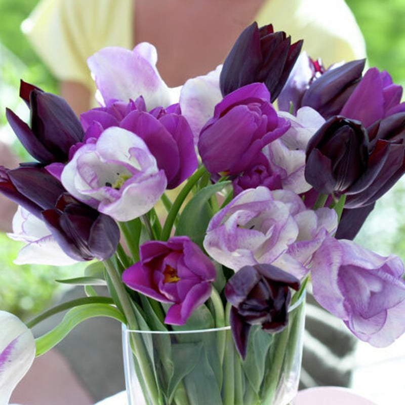 Dearborn Heights MI Garden Center and Nursery | English Gardens