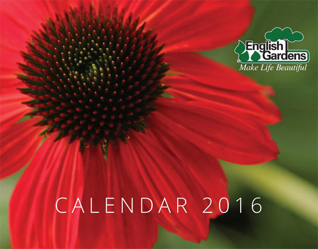 Wall Calendar Now Available