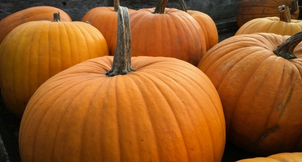 No-Carve Pumpkin Decorating