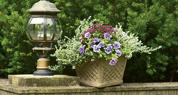 PRODUCT SPOTLIGHT: Container Gardens