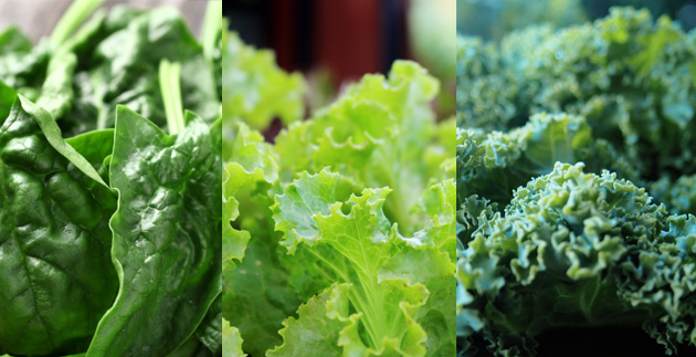 Planting Veggies for the Fall