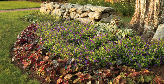 Prepping_Your_Lawn_for_Winter_2