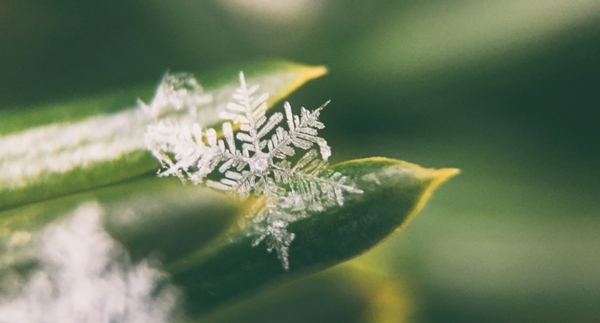 Winterize_Banner