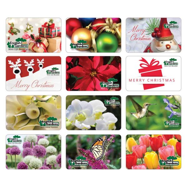 Gift Card - Choose an amount