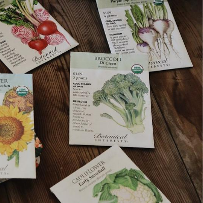 Planting Seeds for Fall Harvest - English Gardens