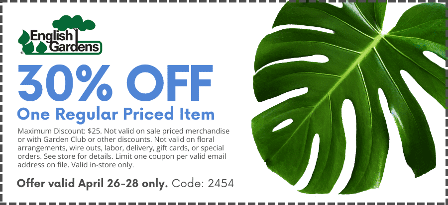 Coupon