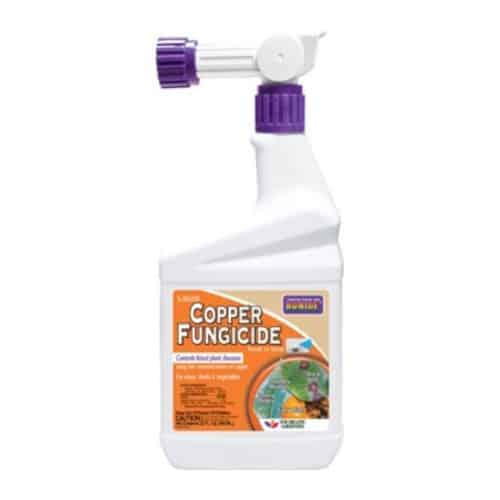 Get Bonide Captain Jack’s Liquid Copper Fungicide, 32 oz RTS in MI at