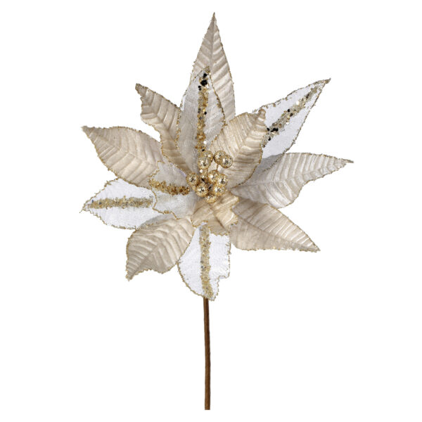 Champagne Velvet Poinsettia