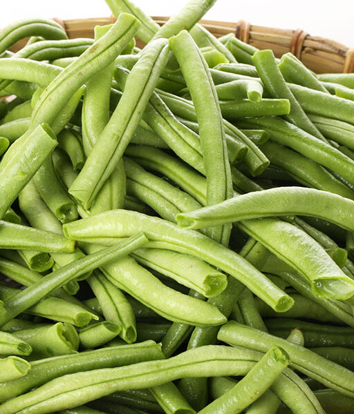 Chef Jeff "Blue Lake" Bush Bean