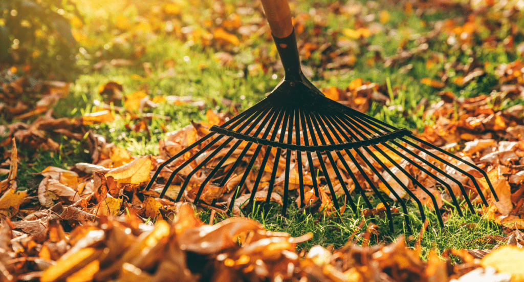 Prepping Your for Winter