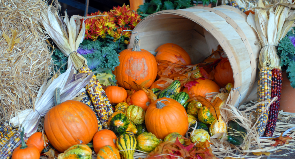 Michigan Grown Fall Harvest
