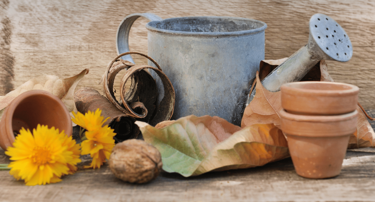 September Gardening Tips