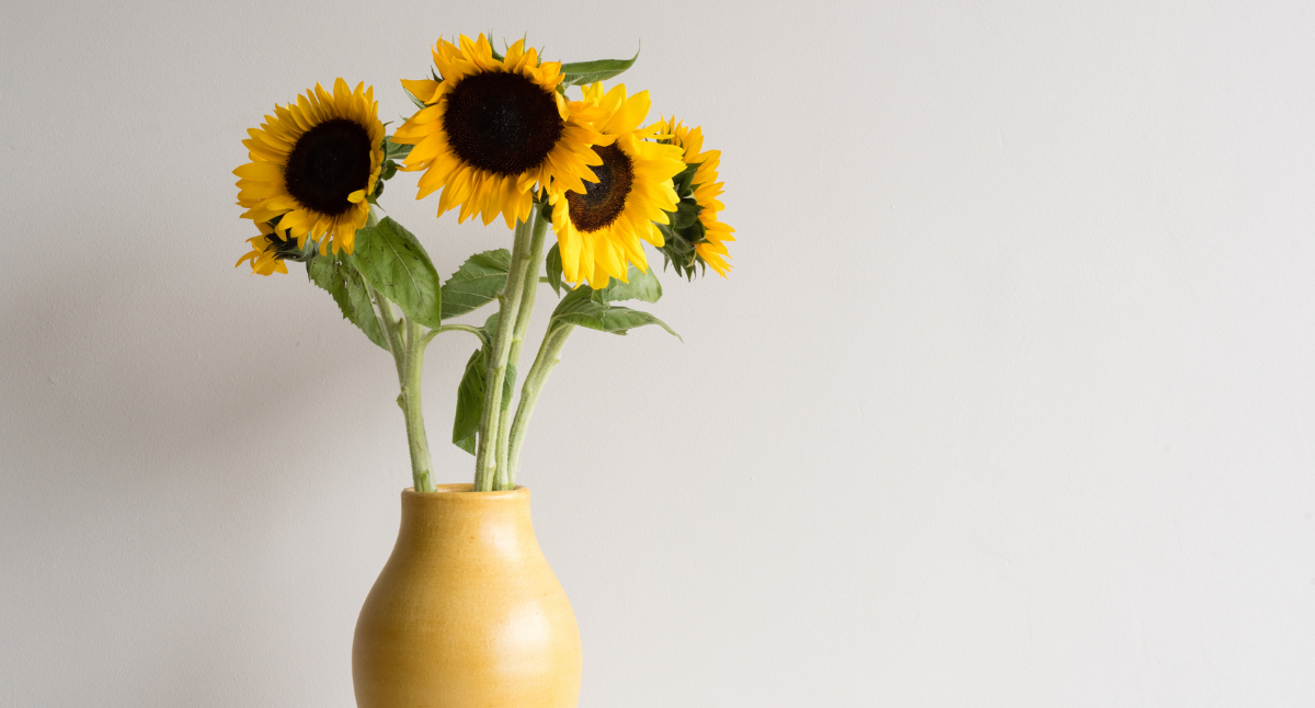 The Benefits of Flowers