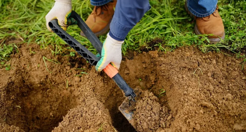It’s Finally Planting Season in Michigan: Expert Tips from English Gardens