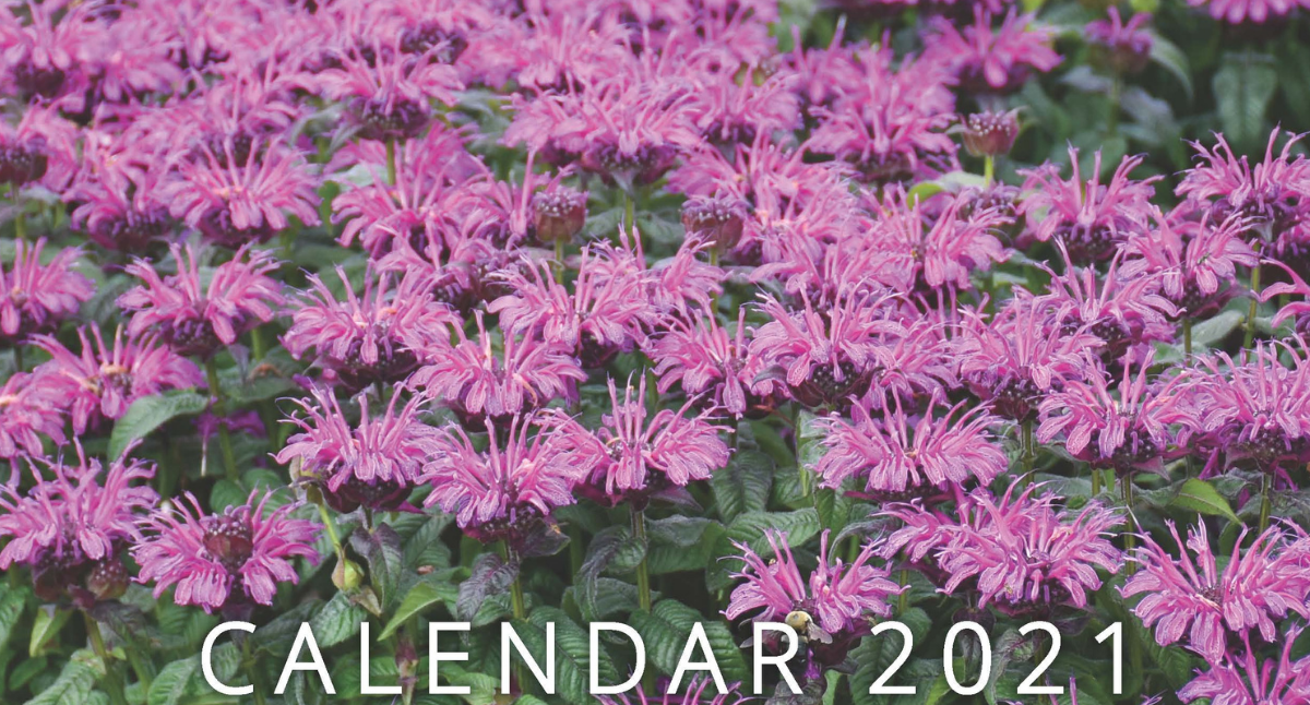 2021 Wall Calendar