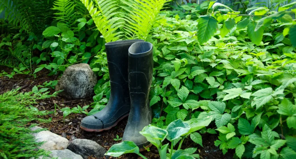 Best Plants for Wet Areas of Your Yard