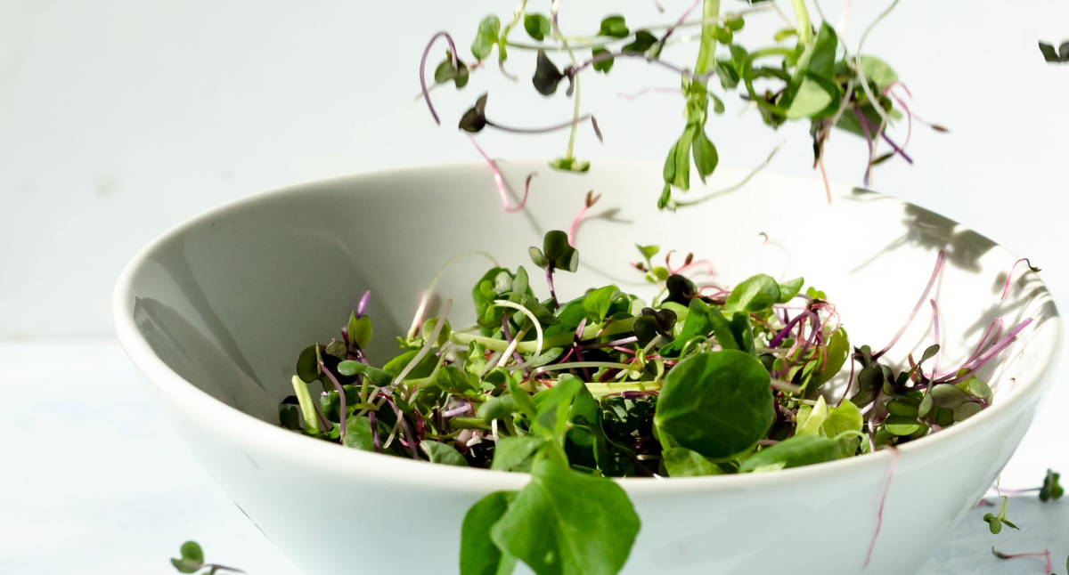 Microgreens and Sprouts