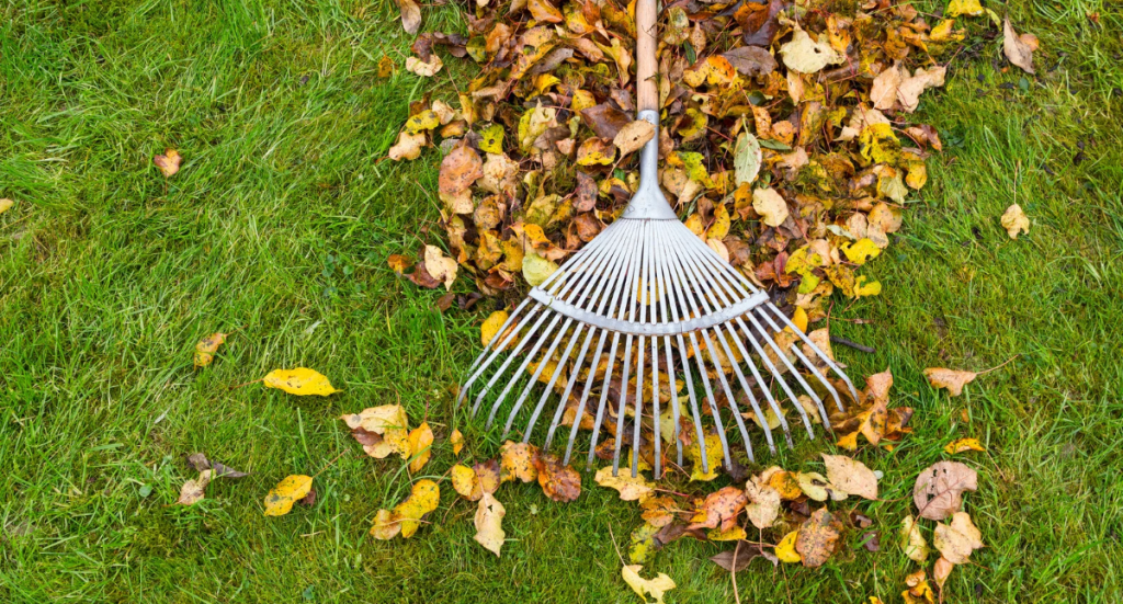 October Gardening Tips