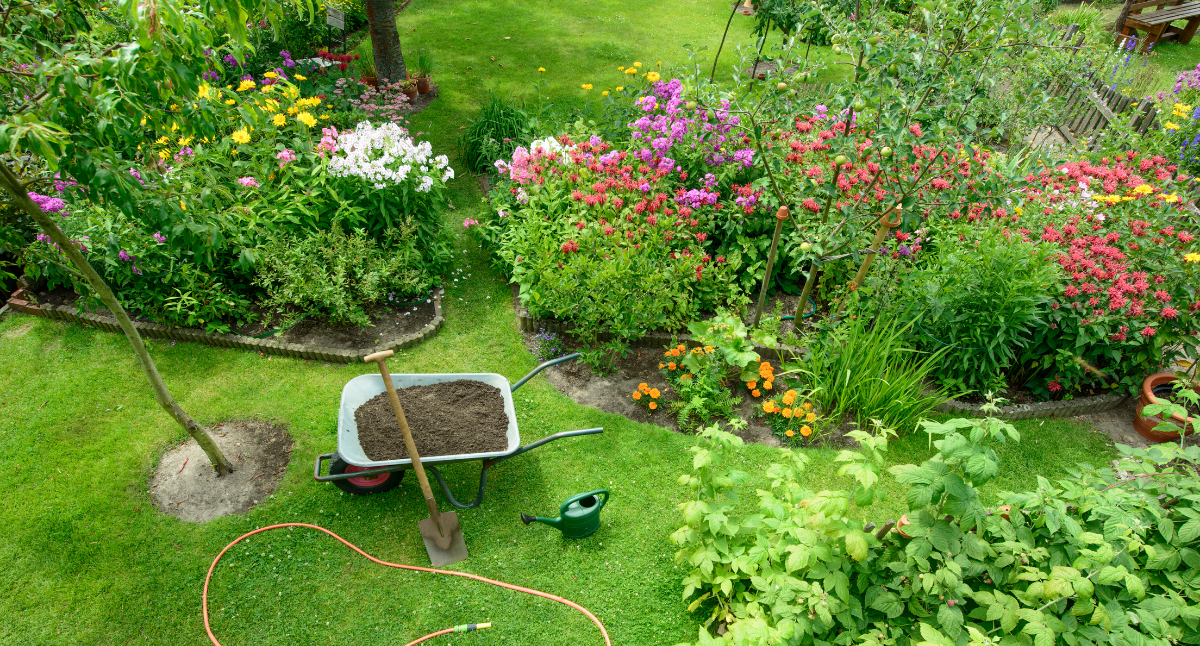 June Gardening tips