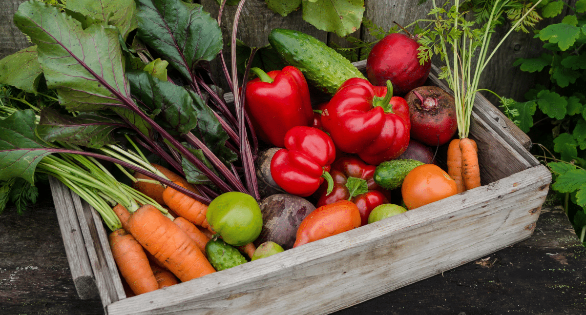 Vegetable Gardening 101 English Gardens