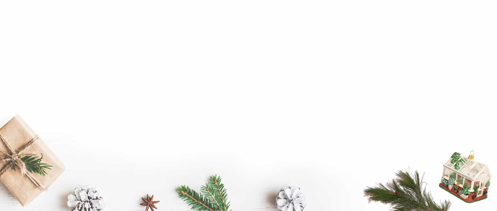 ChristmasAtEnglishGardensMichiganStuff6Background English Gardens