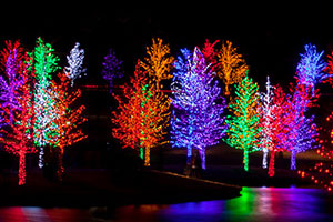 Artificial Christmas Trees for Sale and on Display in Clinton Township