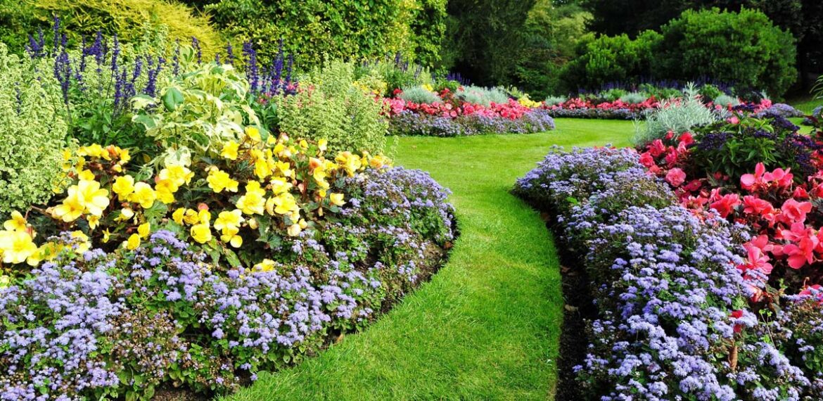 Garden Plants & Flowers English Gardens