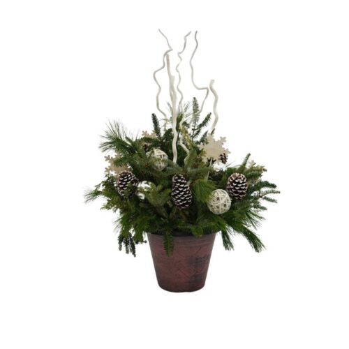 Frosted Snowflake Evergreen Container Garden