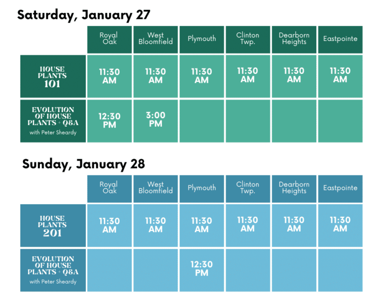 House Plant Hoopla English Gardens