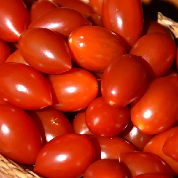 Juliet (Grape) Tomato