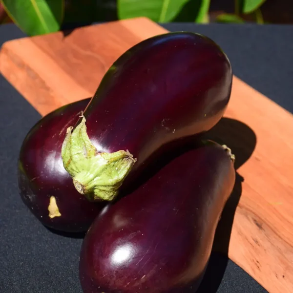 Classic Eggplant