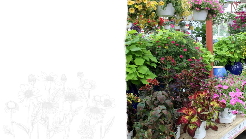 LocationMenuBackground English Gardens