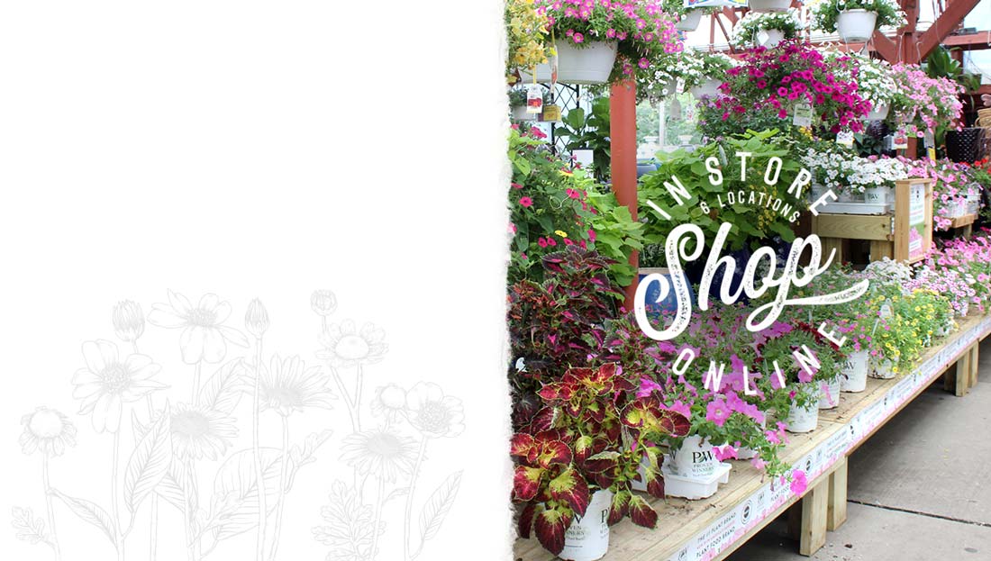 LocationsMegaSidebar2 English Gardens