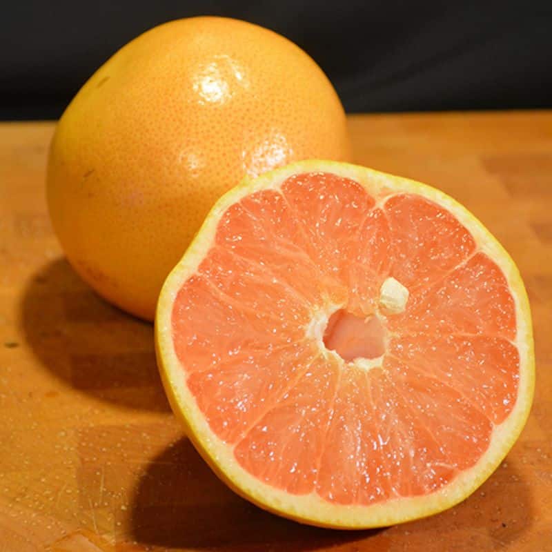 Get Ruby Red Grapefruit 1 gallon pot in MI at English Gardens