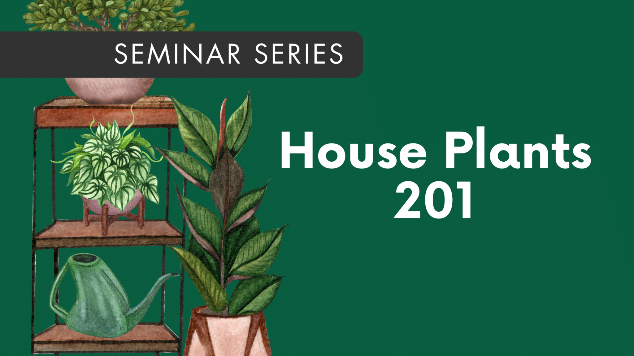 Seminar House Plants 201 English Gardens