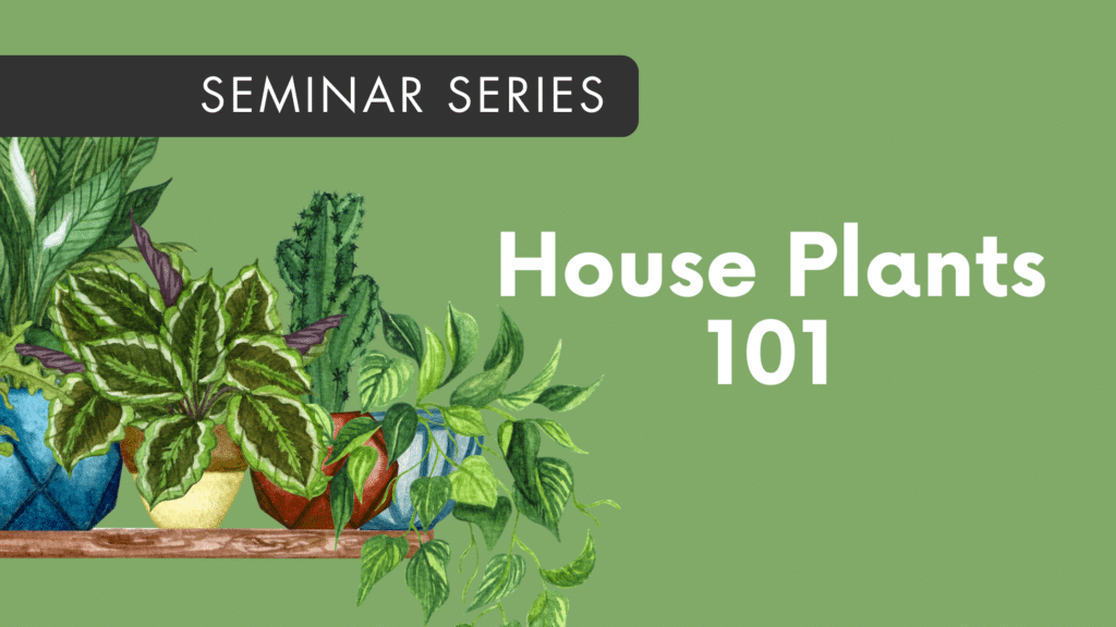 Seminar House Plants 101 English Gardens