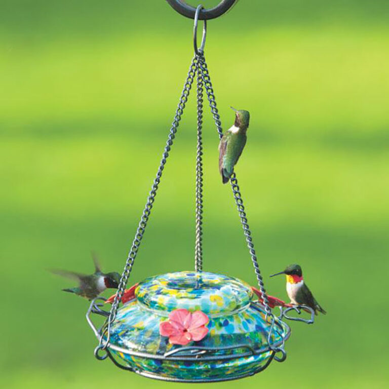Get Solar Powered Illuminated Glass Hummingbird Feeder in MI at English