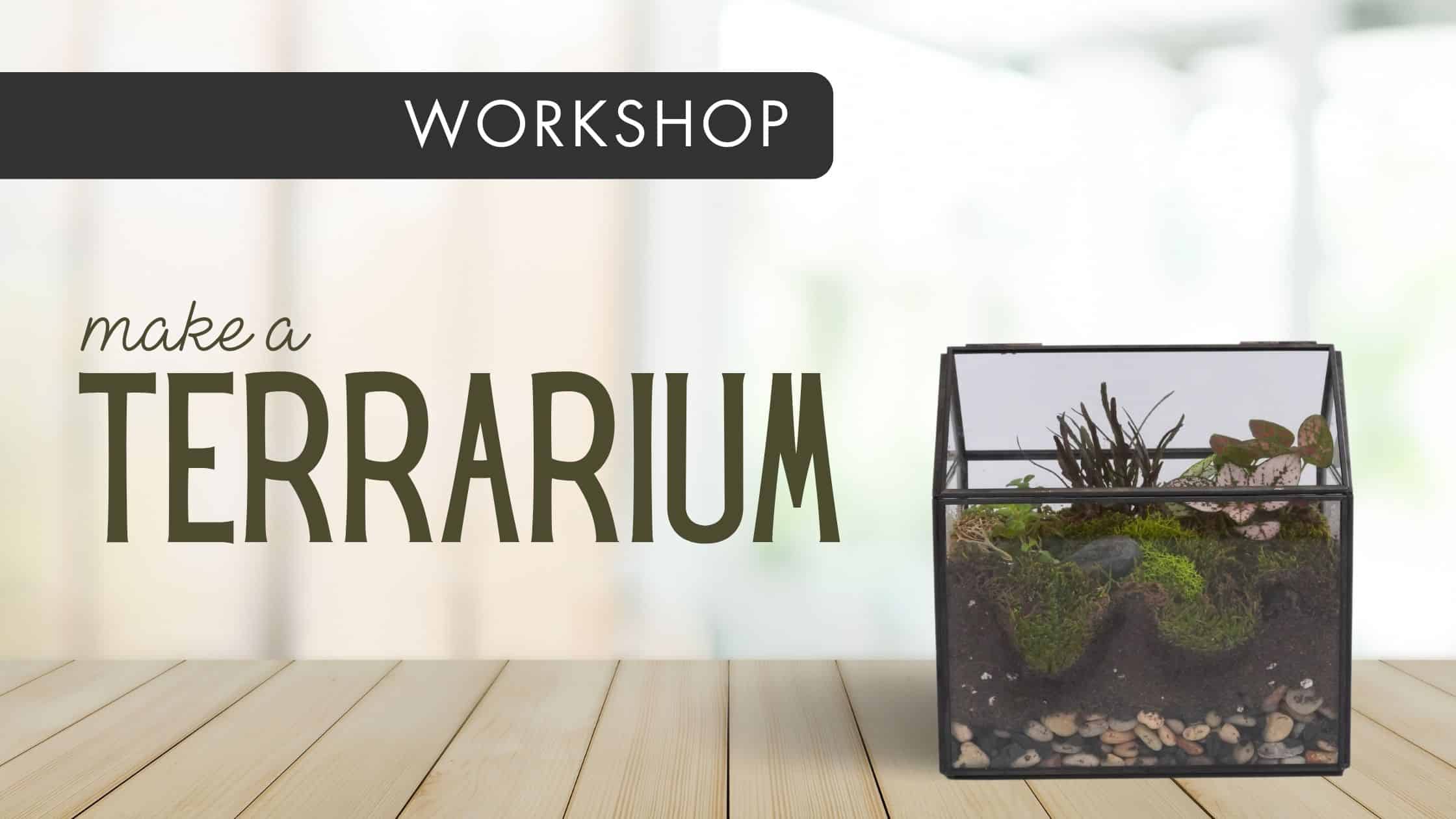Make a Terrarium English Gardens