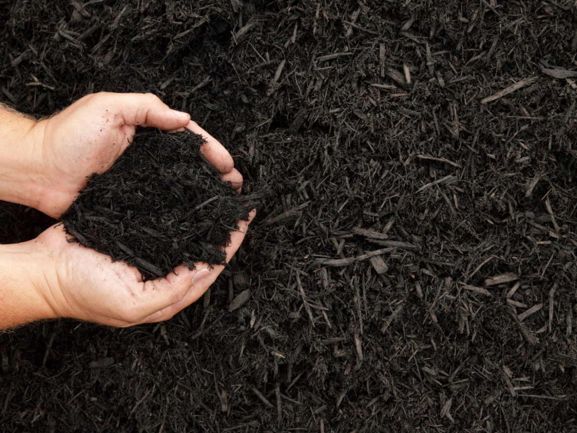 Tips, Tricks and Types of Mulch English Gardens