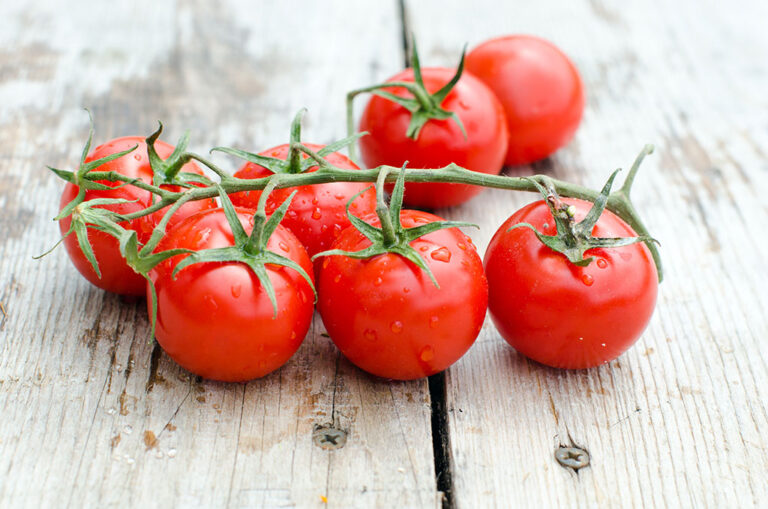 Get Chef Jeff “Large Cherry” Cherry Tomato in MI at English Gardens