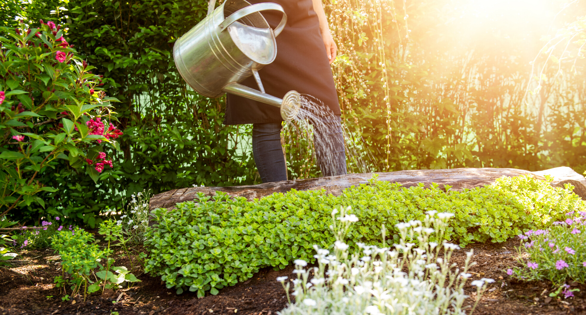 Watering tips