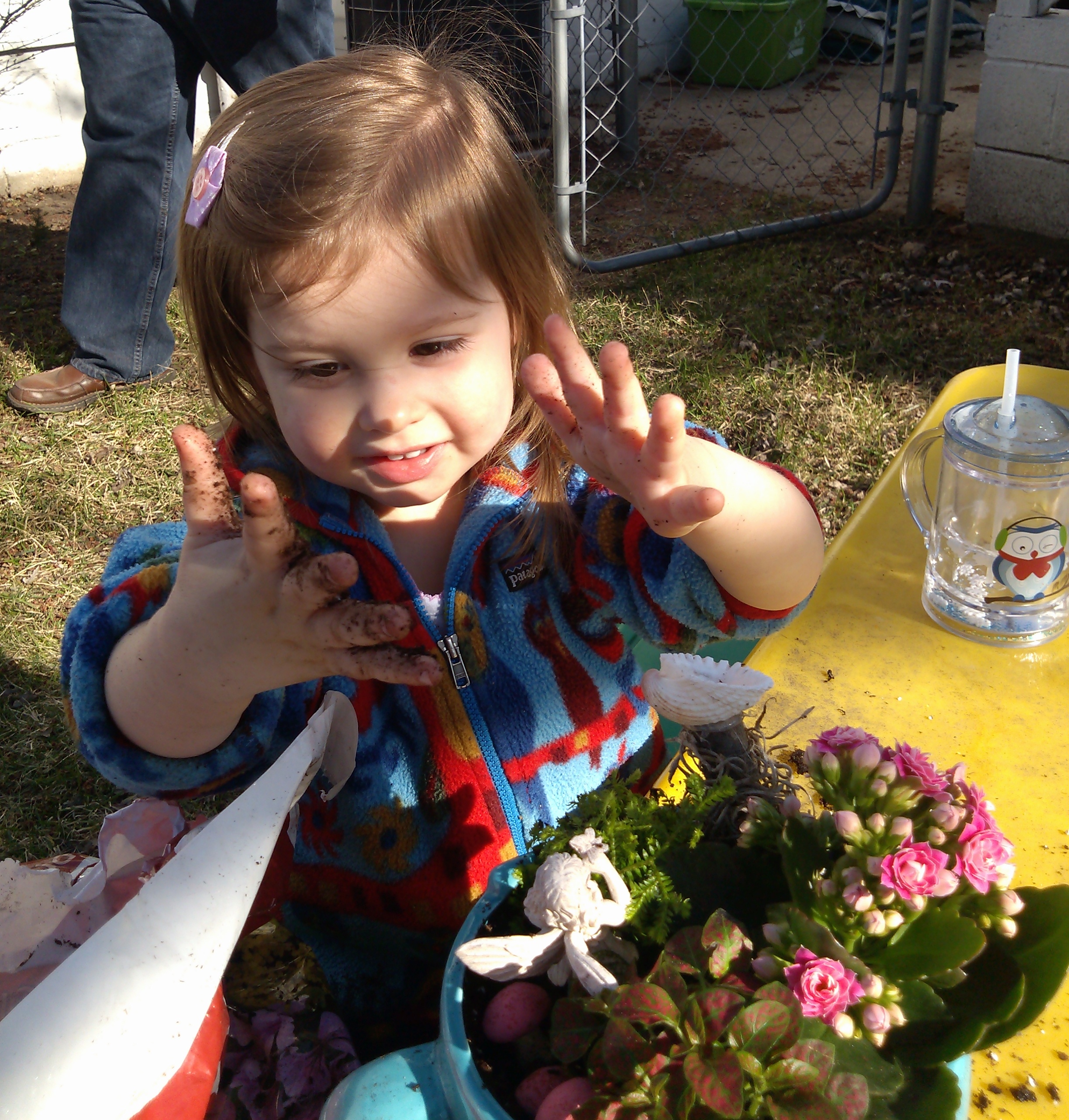 Little Miss Fairy Garden