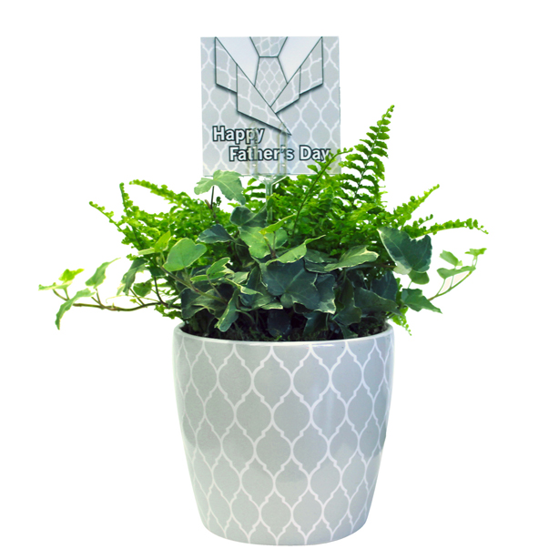 Father’s Day Gift Ideas English Gardens