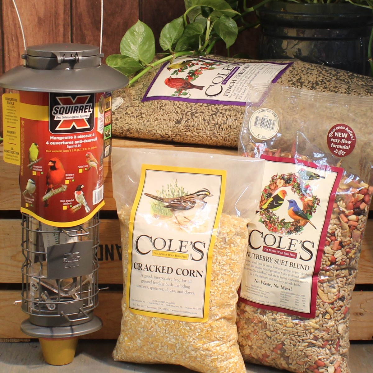 Bird Feeder and Seed